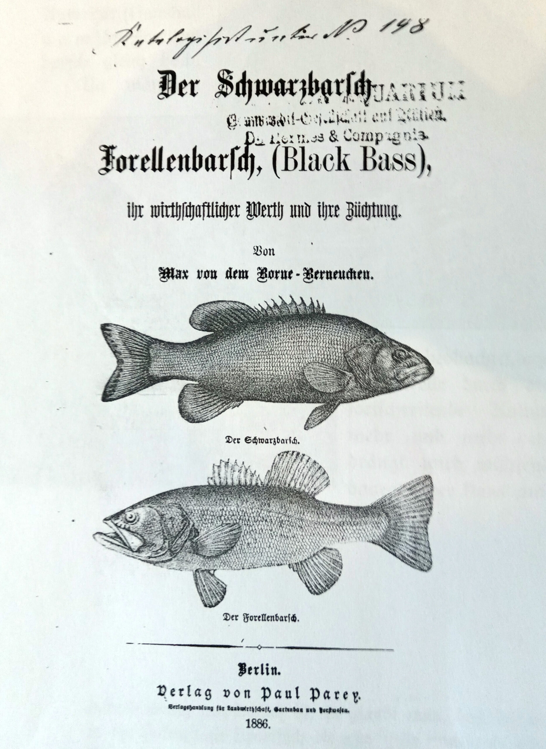 Bereits drei Jahre nach Ankunft der ersten amerikanischen Barsche in Deutschland veröffentlichte Max von dem Borne eine Biographie der Fische im Verlag Paul Parey.