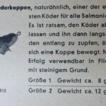 Lederkoppe in zwei Größen in der Stork Ergänzungsliste zum Katalog von 1953. Eventuell war die größere Koppe mit zwei Drillingen ausgerüstet.