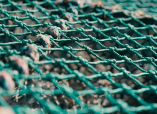 Die Hochseefischerei mit Grundschleppnetzen beeinflusst den Ozean enorm. Foto: Ross Sneddon via Unsplash/Hereon