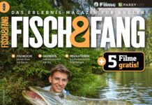 FISCH & FANG 09/2024