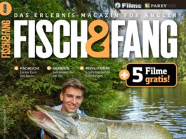 FISCH & FANG 09/2024