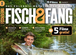 FISCH & FANG 09/2024