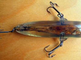 Kurioser Plexiglas-Wobbler mit eingegossenem Köderfisch - wer war der Hersteller?