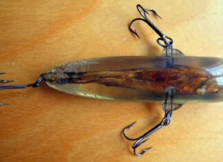 Kurioser Plexiglas-Wobbler mit eingegossenem Köderfisch - wer war der Hersteller?