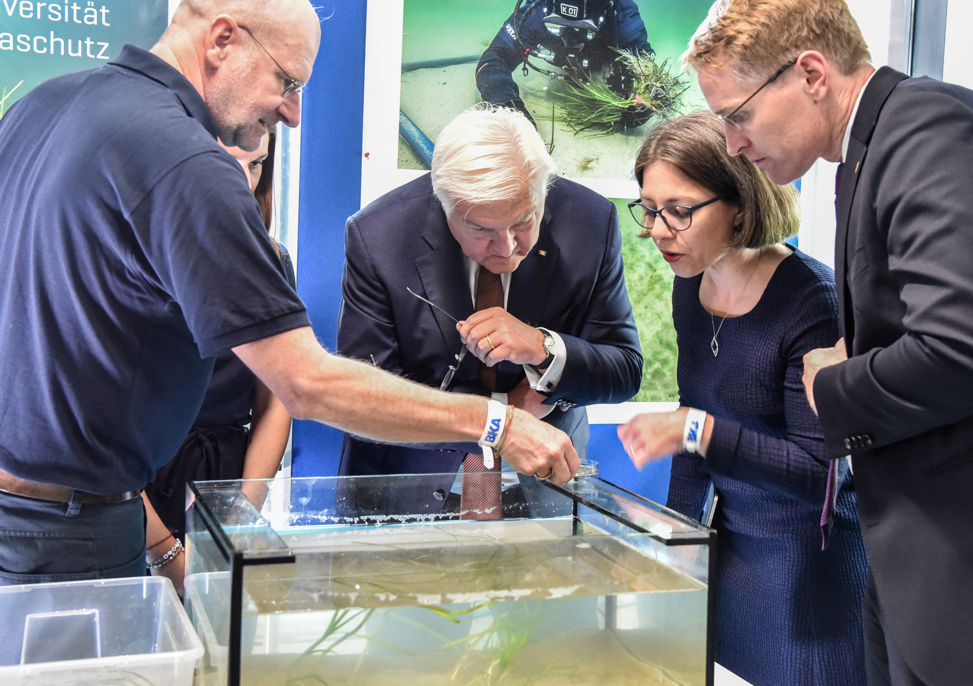 Prof. Dr. Thorsten Reusch, Leiter des Forschungsbereichs "Marine Ökologie" (links), zeigt Seegras-Samen aus der Ostsee. Foto: Thomas Eisenkrätzer, GEOMAR