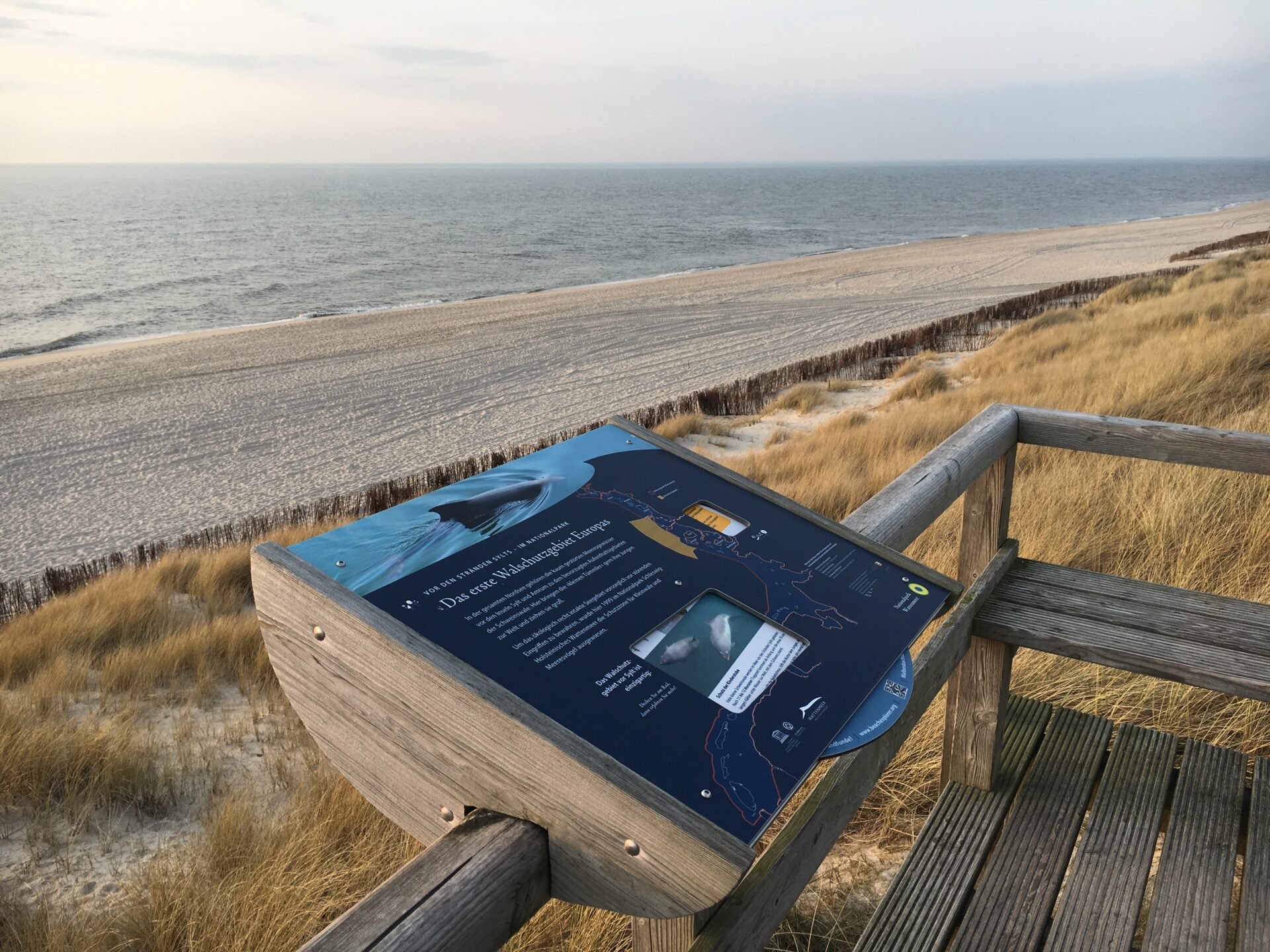 Mehr über die kleinen Meeressäuger erfahren: Jede Station des Sylter Walpfads hat einen eigenen Themenschwerpunkt. Bild: Lynn Scotti/Sylt Marketing