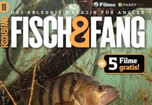 FISCH & FANG 05/2024