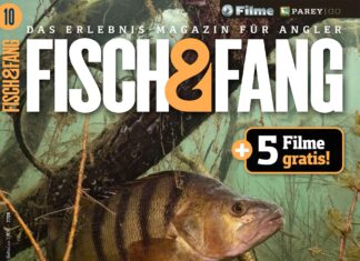 FISCH & FANG 05/2024