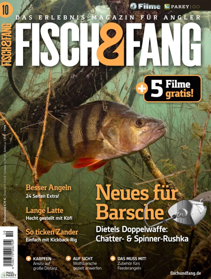 FISCH & FANG 05/2024