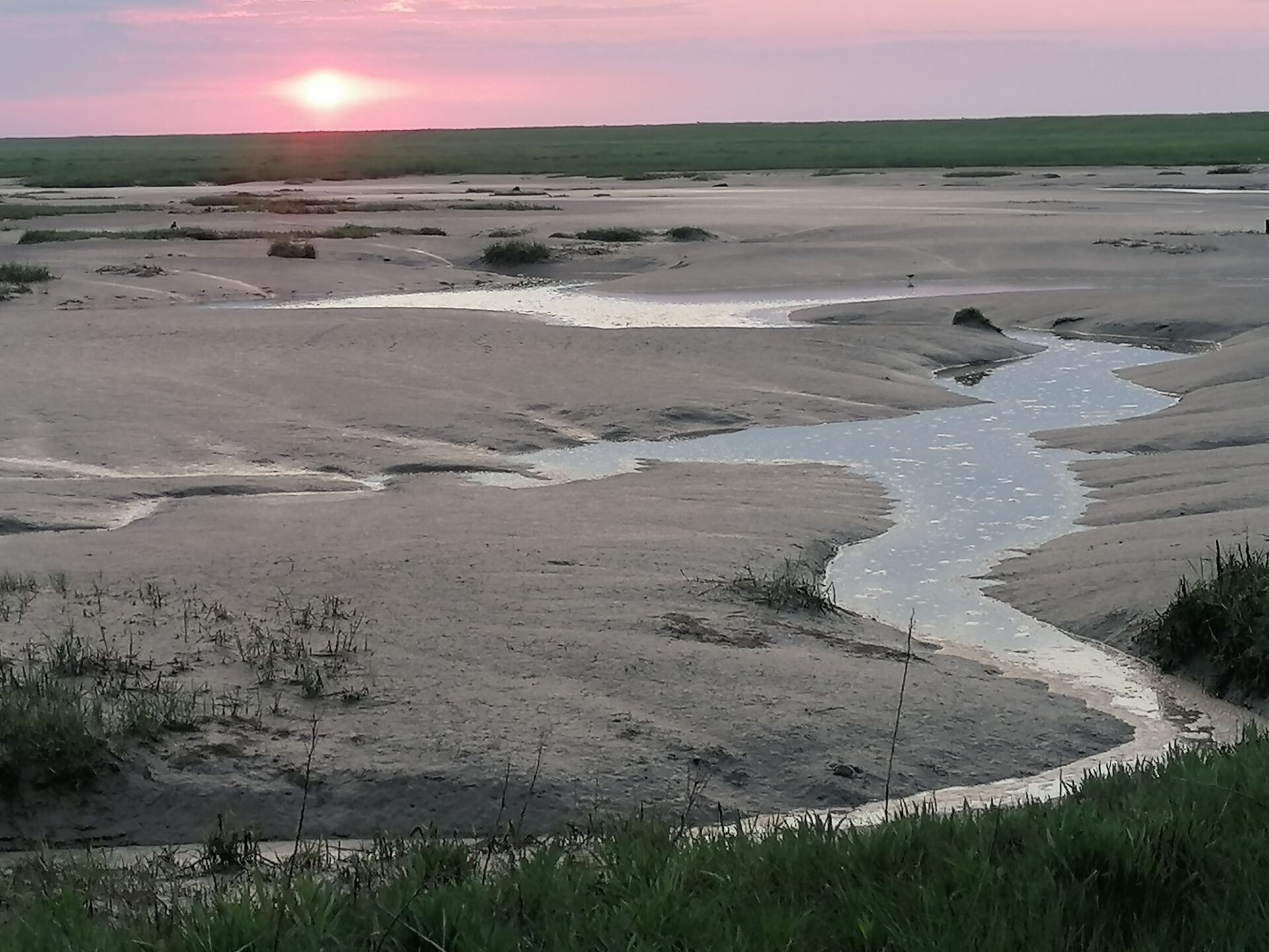 Der Langwarder Groden gehört zum UNESCO-Weltnaturerbe Wattenmeer. Die Gezeiten der Nordsee gestalten hier einen einzigartigen Lebensraum. Bild: Gerhard Vaas