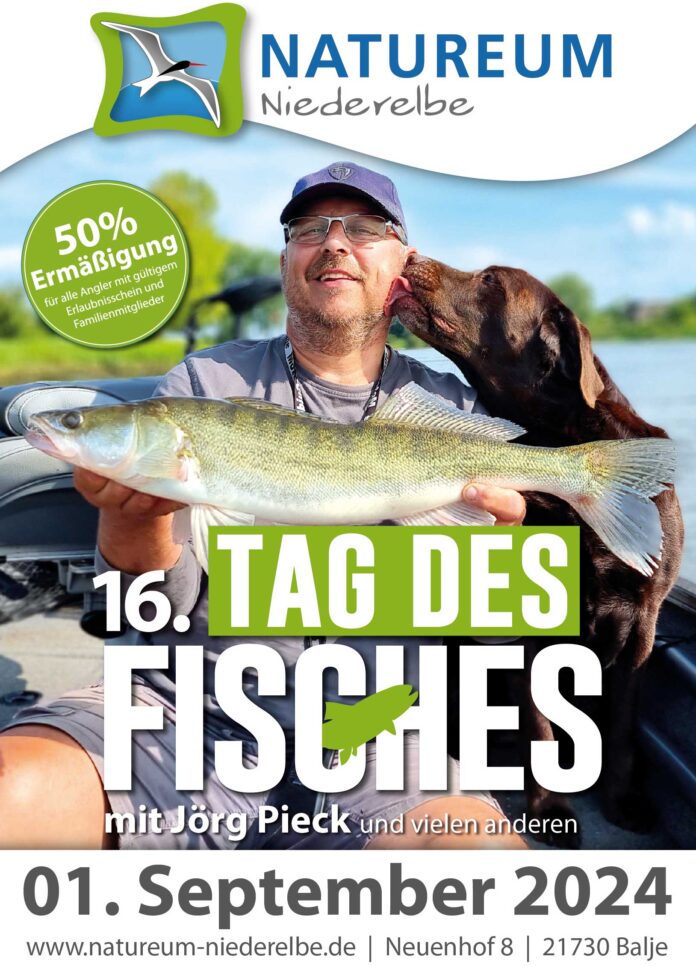 16. Tag des Fisches in Balje