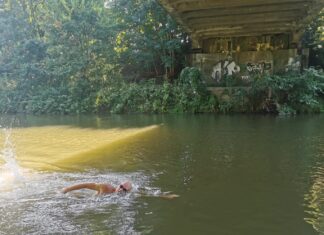 Schwimmt über 1000 Kilometer durch die Elbe: Prof. Dr. Andreas Fath. Bild: Benjamin Heberling