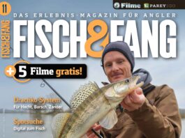 FISCH & FANG 11/2024