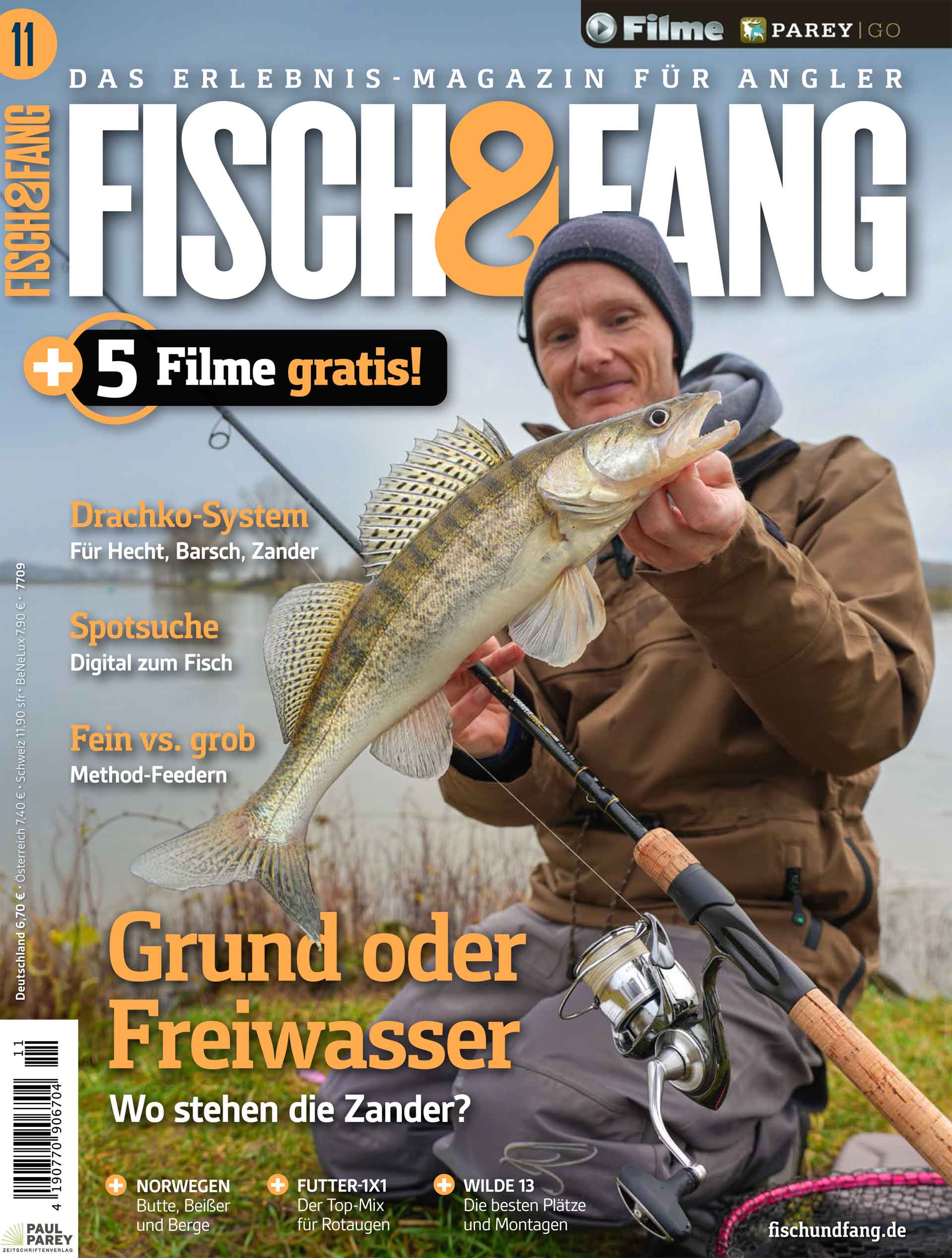 FISCH & FANG 11/2024