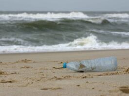 Plastikmüll, frisch angeschwemmt am Sylter Weststrand nach einer stürmischen Nacht. Foto: Sina Löschke