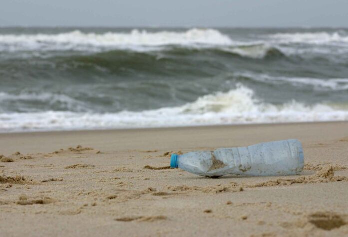 Plastikmüll, frisch angeschwemmt am Sylter Weststrand nach einer stürmischen Nacht. Foto: Sina Löschke