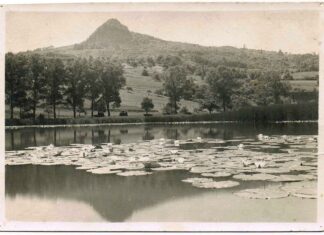 Früher führte er noch ganzjährig Wasser: Der Alte Binninger See im Jahr 1930. Foto: Fotoarchiv Familie Schwarz/Seeweiler Landbetrieb