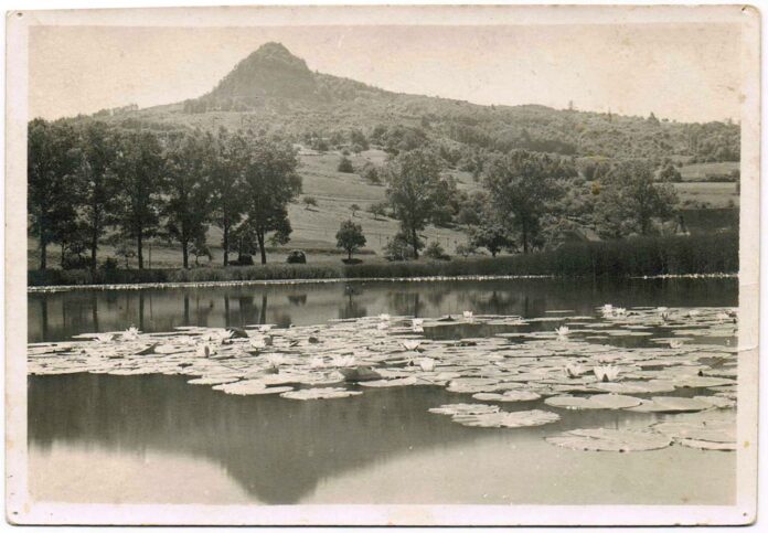 Früher führte er noch ganzjährig Wasser: Der Alte Binninger See im Jahr 1930. Foto: Fotoarchiv Familie Schwarz/Seeweiler Landbetrieb