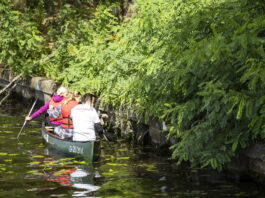 Die Spree-Ufer wurden per Kanu von Unrat befreit. Bild: Leonardo Hotels Central Europe/P. Becerra, stageview.de