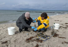 246 Sedimentproben aus dem Spülsaum des Ahrenshooper Strands wurden im Labor untersucht. Bild: Leon Hoffman