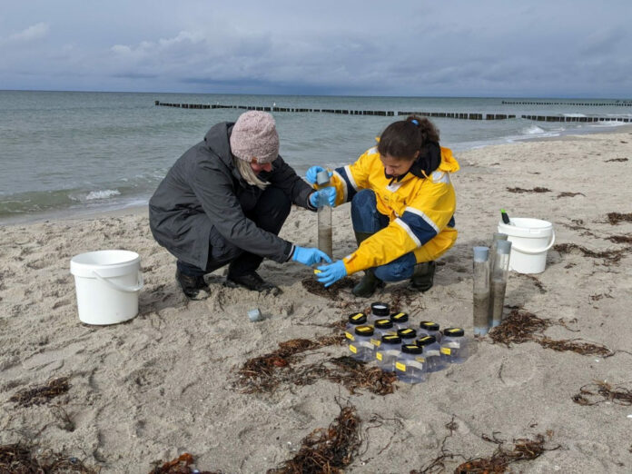 246 Sedimentproben aus dem Spülsaum des Ahrenshooper Strands wurden im Labor untersucht. Bild: Leon Hoffman