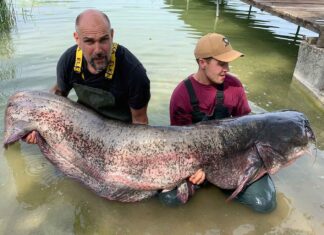 95-Kilo-Wels aus dem Pilsensee: Fänger Timon Kosian (rechts) präsentiert mit seinem Vater Stefan den Urian. Bild: Sportex/privat