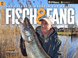 FISCH & FANG 12/2024