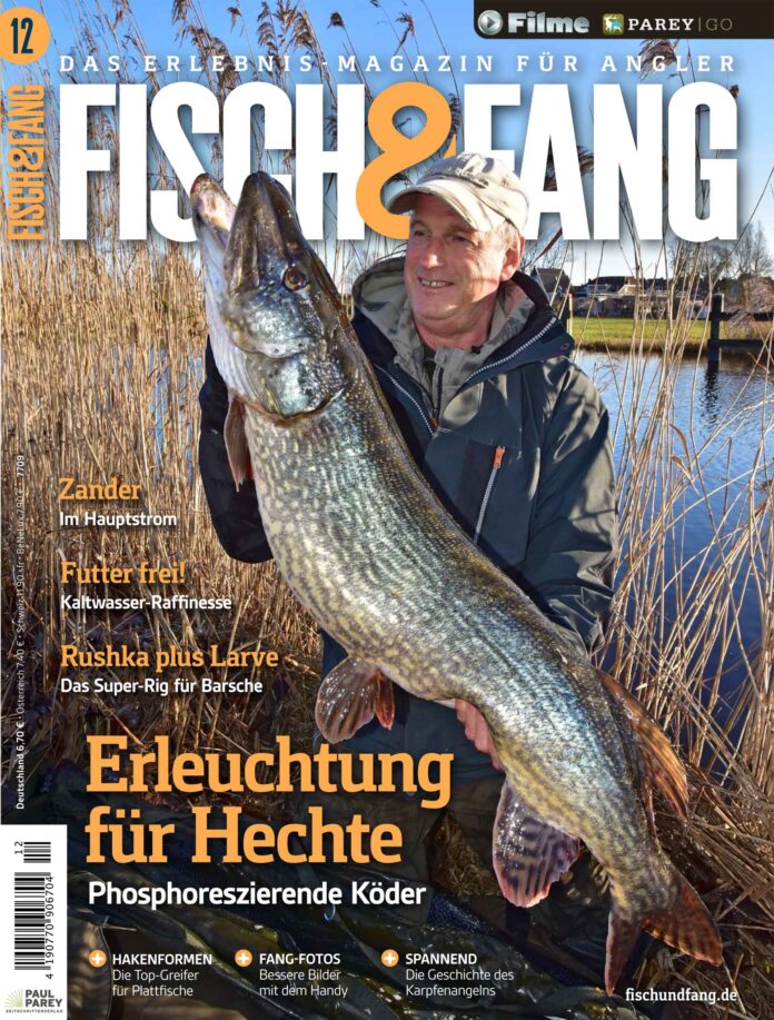 FISCH & FANG 12/2024