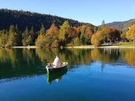 Goldener Oktober auf einem Voralpensee: Auch wenn die Renken nicht beißen wollen, ist jede Minute ein Geschenk. Bilder: B. Taller