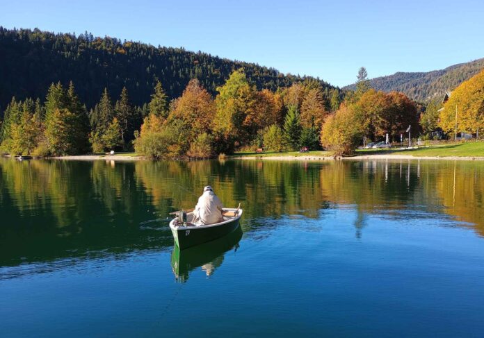 Goldener Oktober auf einem Voralpensee: Auch wenn die Renken nicht beißen wollen, ist jede Minute ein Geschenk. Bilder: B. Taller