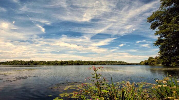 Der Baldeneysee in Essen. Bild: Christian K. Feld