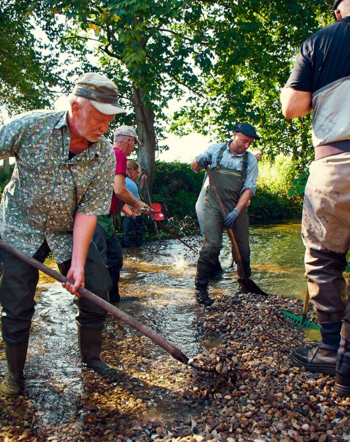 In Schleswig-Holstein erhält ein Meerforellen-Bach wieder ein Laichbett aus frischem Kies. Bild: Alex Hauber