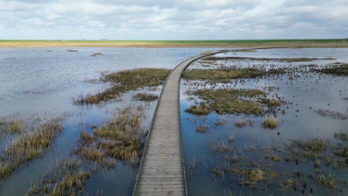 Der Holzbohlenweg im Langwarder Groden schwebt über dem Wasser. Es ist Flut und die Nordsee reicht bis zum Rande des Stegs. Foto: Tourismus-Service Butjadingen