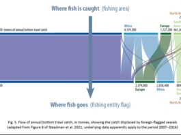 Grundschleppnetzfischerei nach Kontinent: Wo der Fisch gefangen und wo er konsumiert wird. Der Großteil der weltweiten Grundschleppnetzfischerei findet in Asien statt. Bild: OceanCare