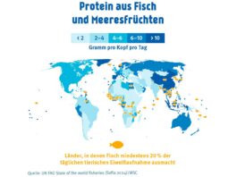 Fisch und Meeresfrüchte liefern 15 Prozent der tierischen Proteine weltweit. Bereits heute beziehen über 3,2 Milliarden Menschen mindestens 20 Prozent ihrer täglichen tierischen Eiweißzufuhr aus Fisch. Bild: FAO SOFIA 2024/MSC