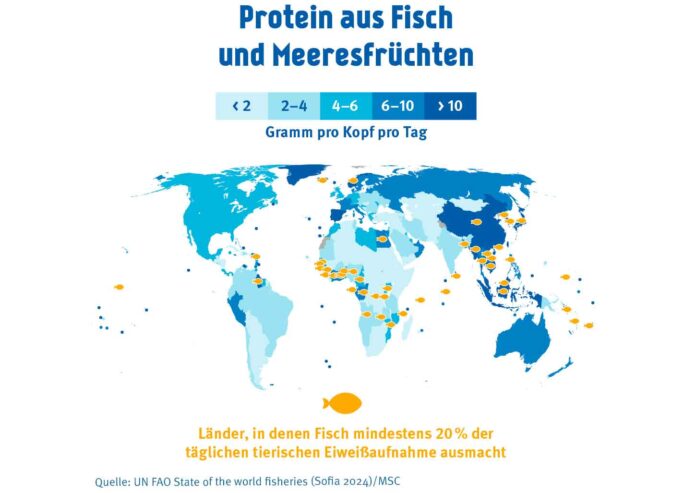 Fisch und Meeresfrüchte liefern 15 Prozent der tierischen Proteine weltweit. Bereits heute beziehen über 3,2 Milliarden Menschen mindestens 20 Prozent ihrer täglichen tierischen Eiweißzufuhr aus Fisch. Bild: FAO SOFIA 2024/MSC