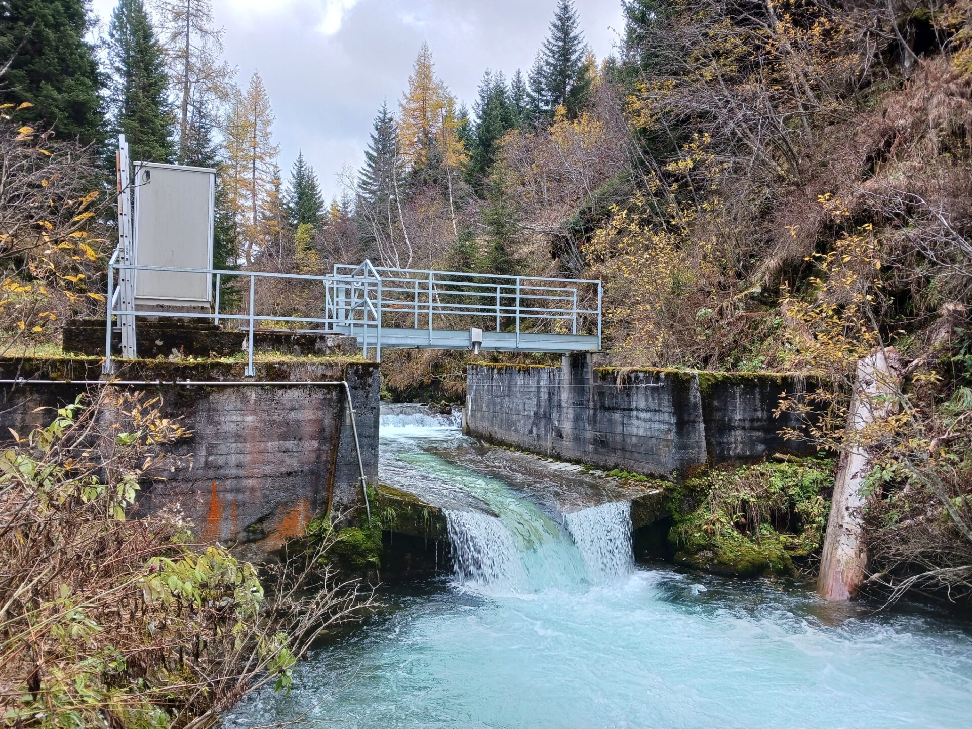 Messstation im Dischmabach bei Davos. Alle zehn Minuten zeichnen Sensoren hier die Wassertemperaturen auf. Bild: Amber van Hamel/SLF