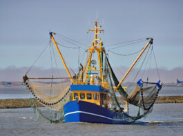 Krabbenkutter fischen mit Schleppnetzen in der Nordsee vor Ostfriesland. Bild: Hereon/iStock