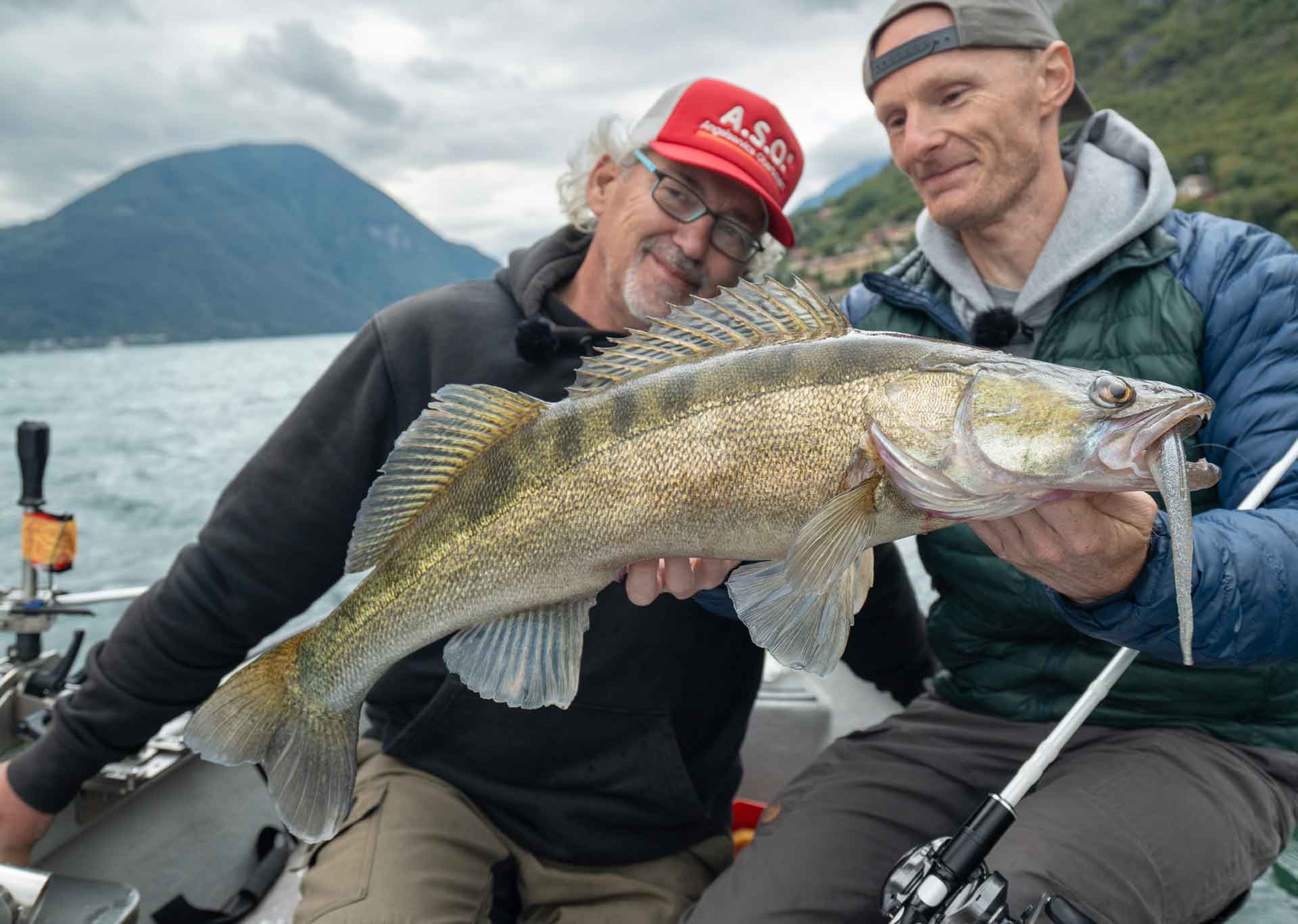 So ticken Zander im Freiwasser