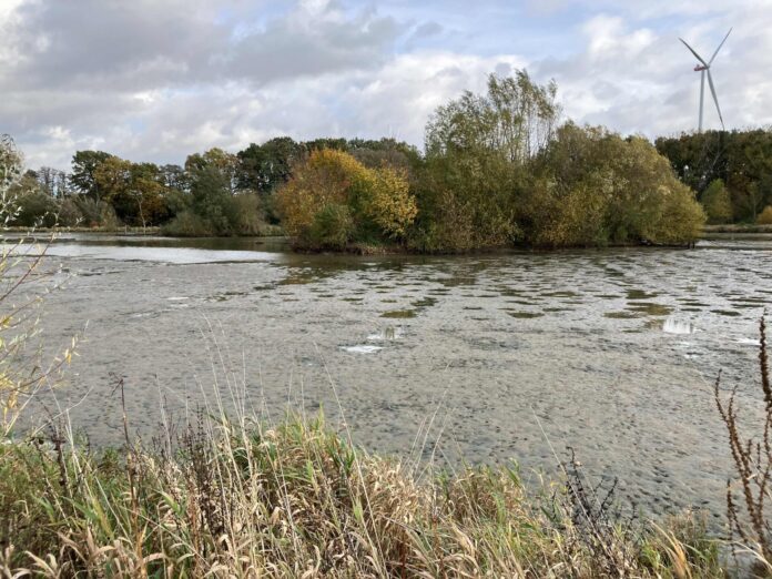 Eichholzbeek-Teich im Nettetal wird abgelassen, damit sich der Faulschlamm an der Luft abbauen kann. Bild: Heinz Sielmann Stiftung