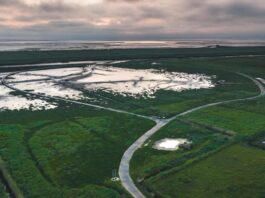 Bei Flut werden die Salzwiesen des Langwarder Groden vom Meer überspült. In der Ferne, hinter dem Sommerdeich, liegt das UNESCO Weltnaturerbe Niedersächsisches Wattenmeer. Foto: Alex K. Media