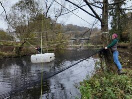 Mit gespannten Netzen und Schnüren sollen Fische in ihren Winterquartieren vor Kormoranen geschützt werden. Bild: Universität Koblenz/Stefan Tanneberg