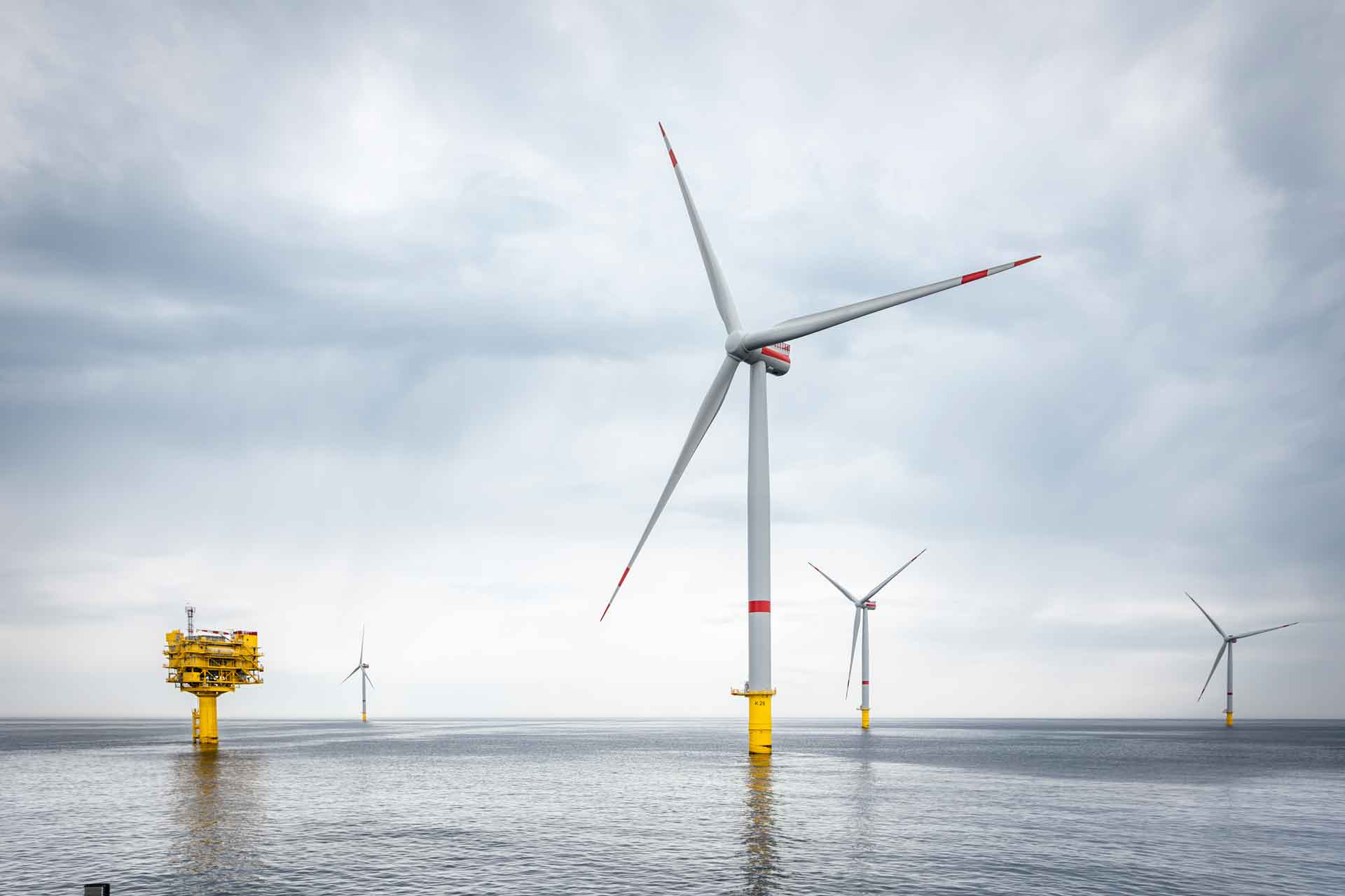 Der Offshore-Windpark Kaskasi in der Nordsee. Hier wird der Roboter zukünftig die ökologischen Auswirkungen unter Wasser überwachen. Bild: RWE