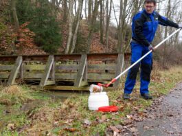 Aus dem Bergbau-Gewässer "Roter Graben" wird von Dr. Michael Kraft der rote Eisenschlamm geborgen. Bild: TU Bergakademie Freiberg