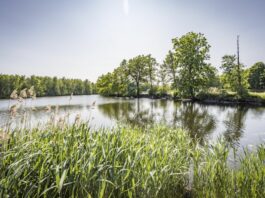 Nicht nur ein Paradies für Vögel: Das Charlottenhofer Weihergebiet im Oberpfälzer Seenland. Bild: Thomas Kujat