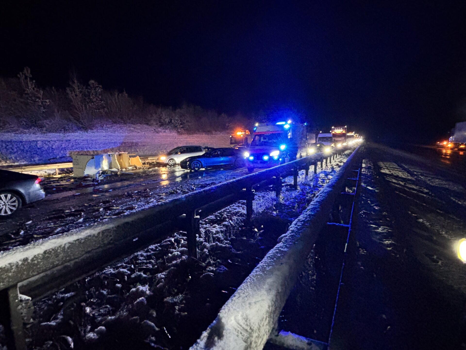 Überall auf der Autobahn lagen tote Fische.