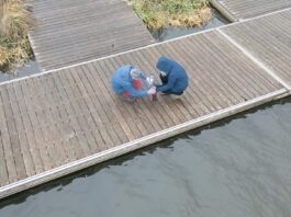 Am Steg des Olympiastützpunkts der Ruderer südlich von Rostock entnehmen Prof. Jens Tränckner und seine wissenschaftliche Mitarbeiterin Alena Seidenfaden von der Universität Rostock Wasserproben aus der Warnow, um sie auf Arzneimittel-Rückstände zu untersuchen. Bild: EU4Regions