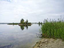 Top-Gewässer: Wallendorfer See