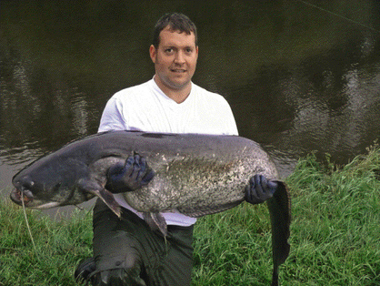 Auch Welse kommen vor, wie Denis Schwarz mit seinem 1,80 Meter langen Fisch beweist.