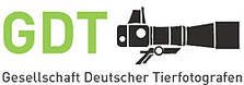 GDT-Logo